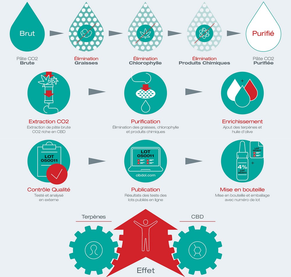 Processus de fabrication de l'huile de CBD Cibdol