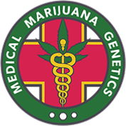 Graines à taux élevé de CBD