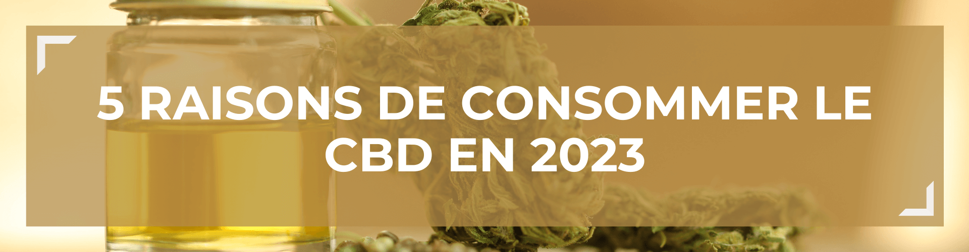 5 Raisons de consommer du CBD en 2023