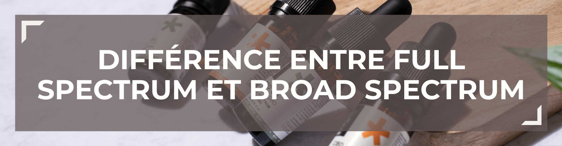 Diffrence entre CBD Full Spectrum, Broad Spectrum et Isolat de CBD