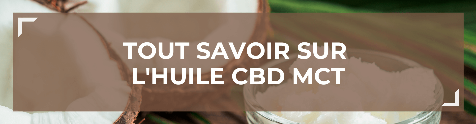 Tout savoir sur l'Huile CBD MCT