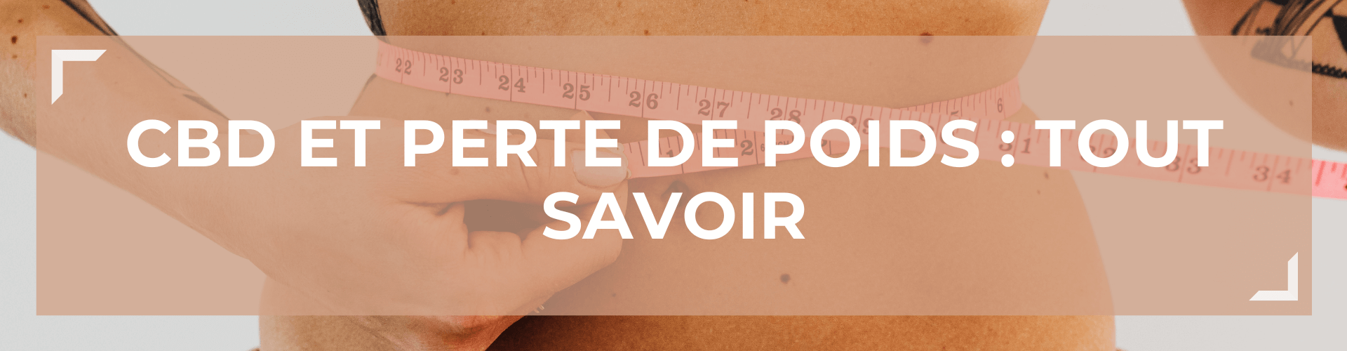 CBD et Perte de poids : tout savoir 