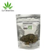 Amnesia cheneviere 3g