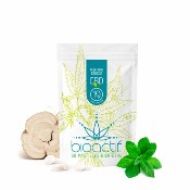 Pastilles CBD - Menthe | BioActif