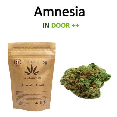Amnesia cheneviere 3g