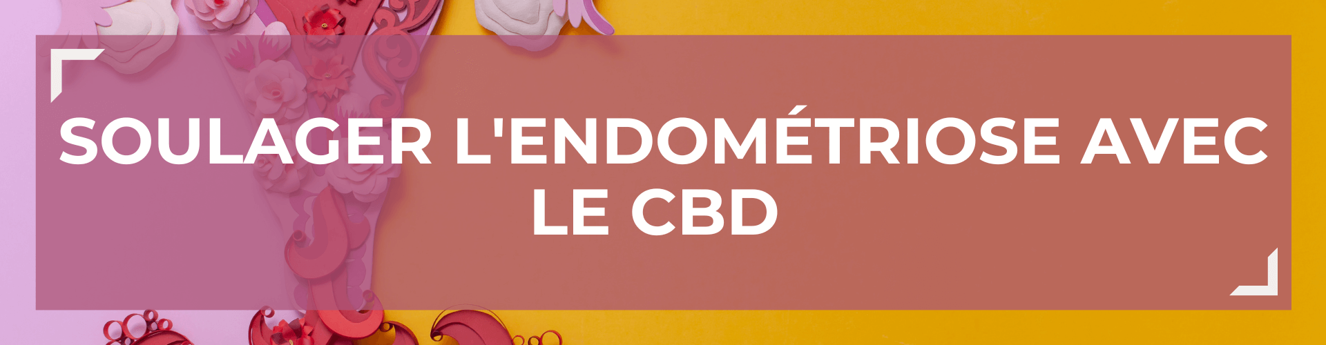 Soulager l'endomtriose avec le CBD 