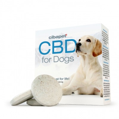 CBD pour Animaux