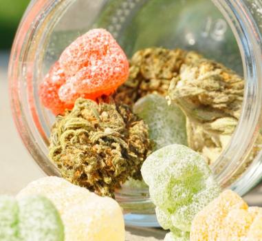 Alimentation au CBD