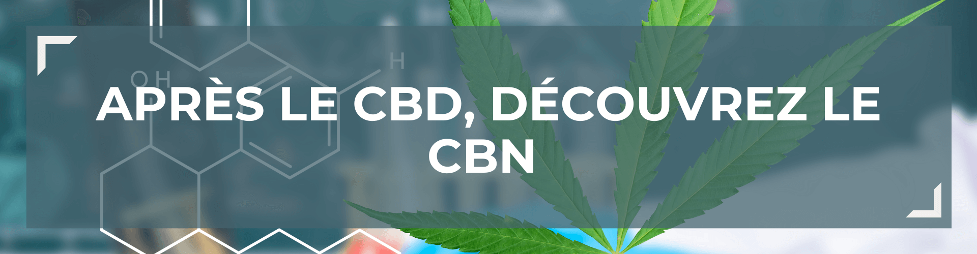 Après le CBD, découvrez le CBN avec notre guide complet