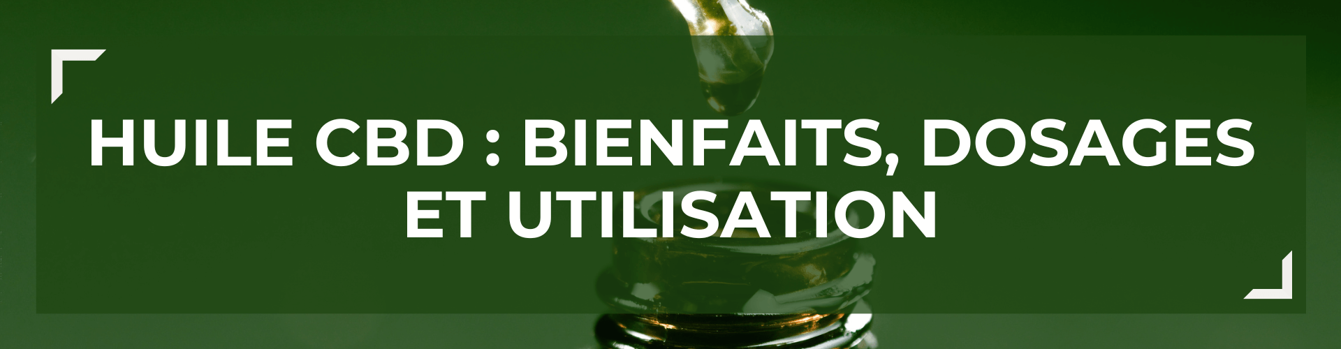 Huile CBD : bienfaits, dosage et utilisation 