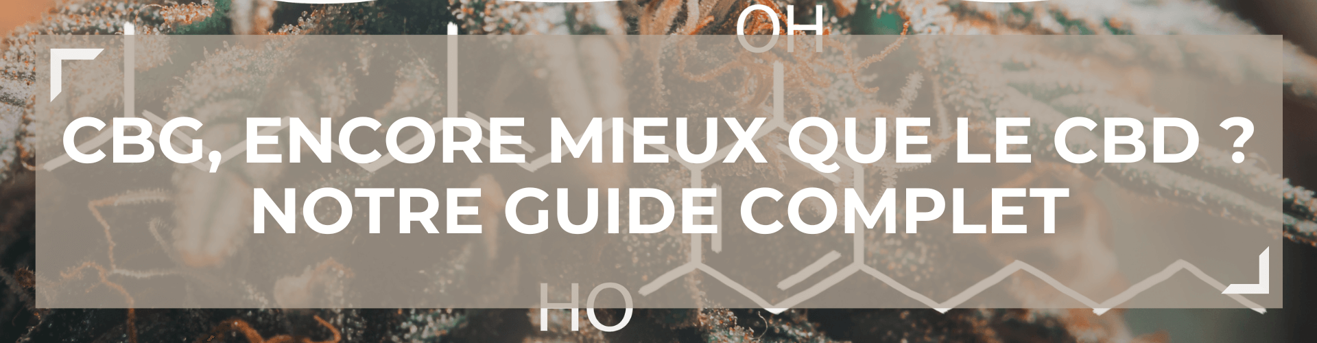 Le CBG, encore mieux que le CBD ? Notre Guide Complet