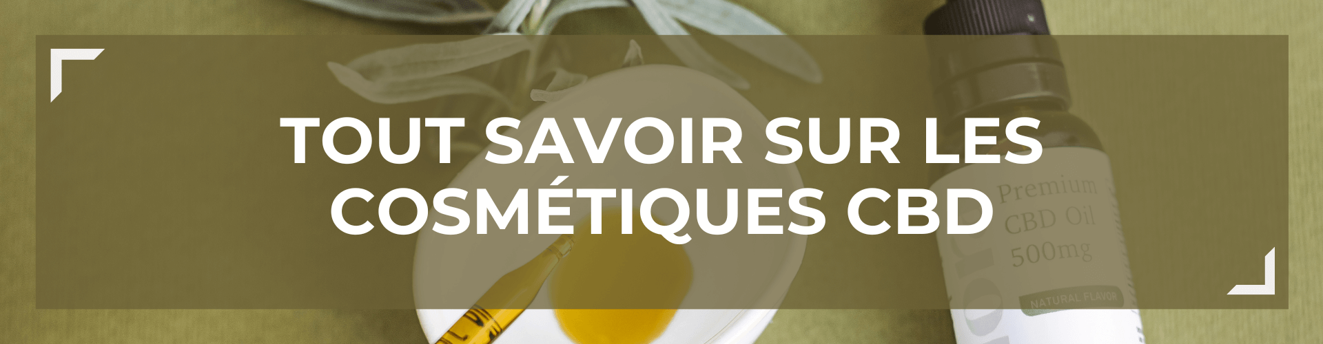 Tout savoir sur les Cosmtiques au CBD 