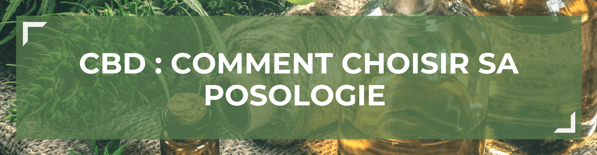 CBD : comment choisir sa posologie ? 