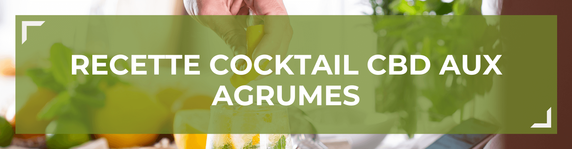 Recette Cocktail Agrumes Au CBD