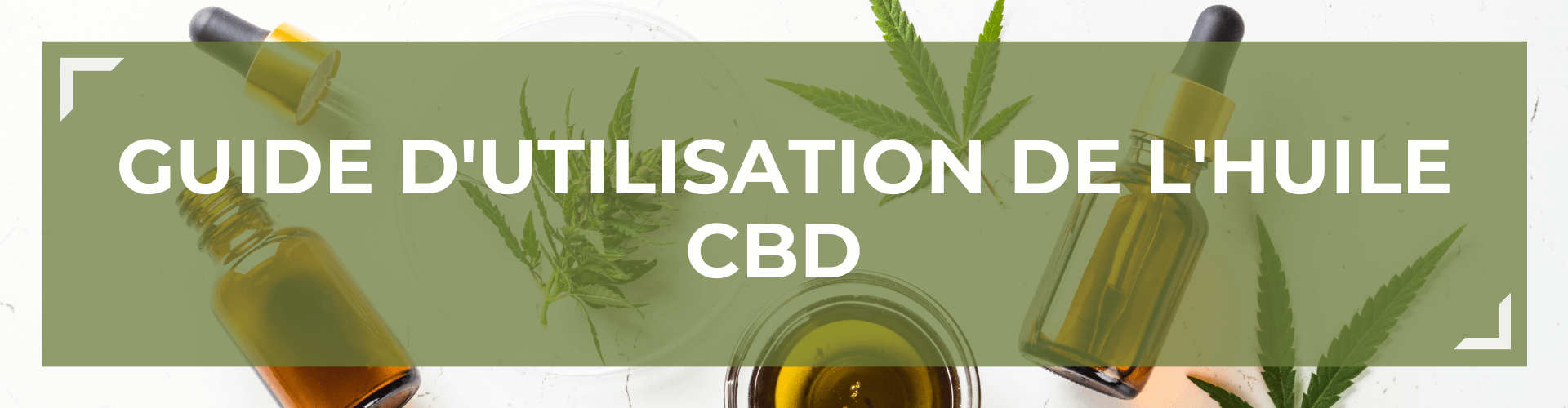 Guide d'utilisation de l'huile de CBD (Cannabidiol)