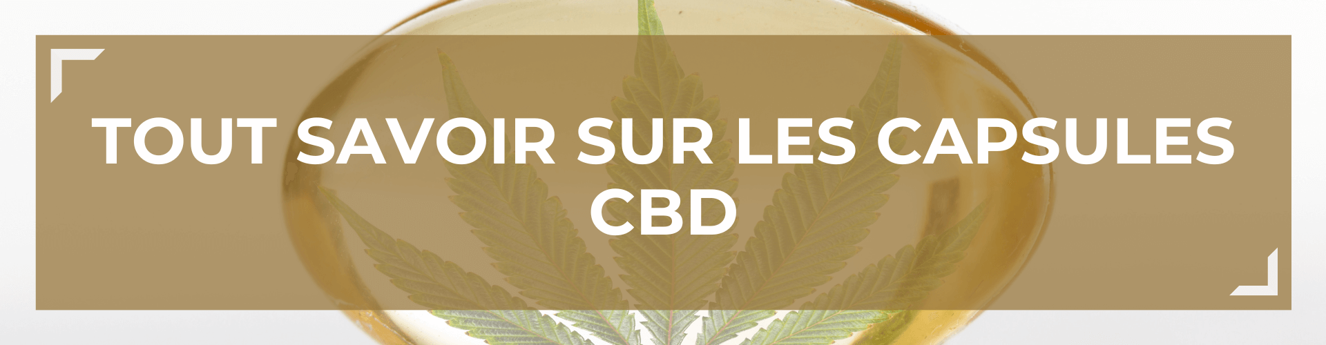 Tout savoir sur les capsules CBD 