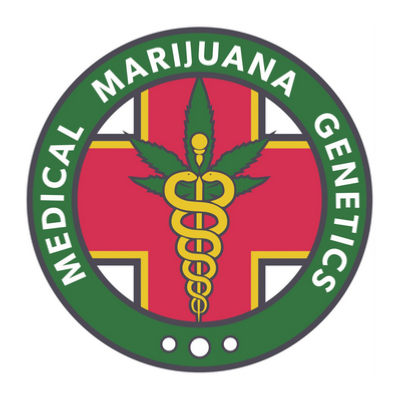 Graines à taux élevé de CBD